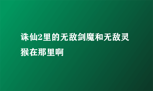 诛仙2里的无敌剑魔和无敌灵猴在那里啊