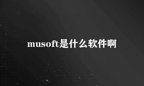 musoft是什么软件啊