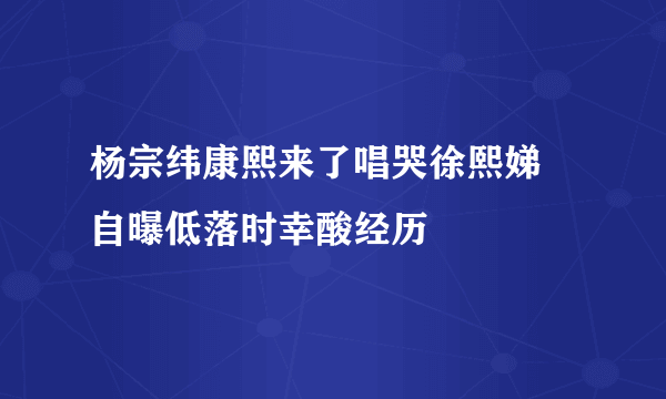 杨宗纬康熙来了唱哭徐熙娣 自曝低落时幸酸经历