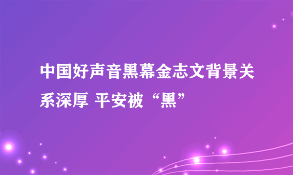 中国好声音黑幕金志文背景关系深厚 平安被“黑”