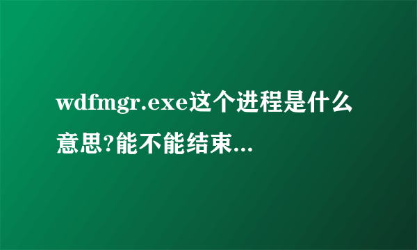 wdfmgr.exe这个进程是什么意思?能不能结束,怎么样删除?