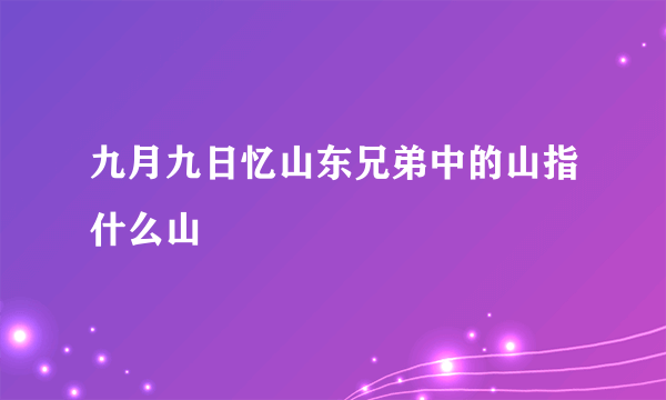 九月九日忆山东兄弟中的山指什么山