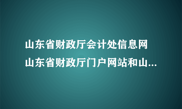 山东省财政厅会计处信息网 山东省财政厅门户网站和山东会计信息网