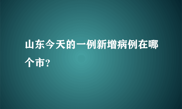 山东今天的一例新增病例在哪个市？