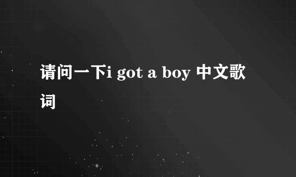 请问一下i got a boy 中文歌词