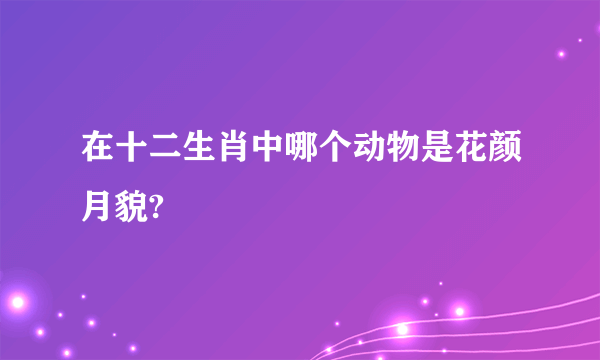 在十二生肖中哪个动物是花颜月貌?