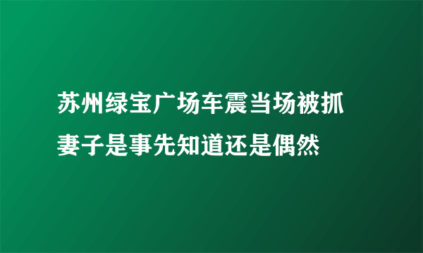 苏州绿宝广场车震当场被抓 妻子是事先知道还是偶然