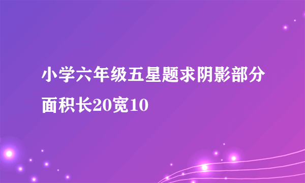 小学六年级五星题求阴影部分面积长20宽10