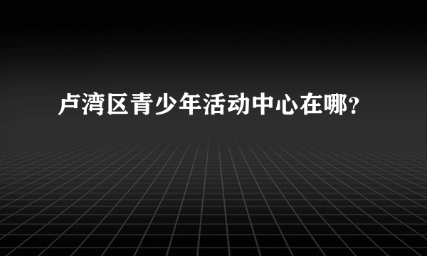 卢湾区青少年活动中心在哪？