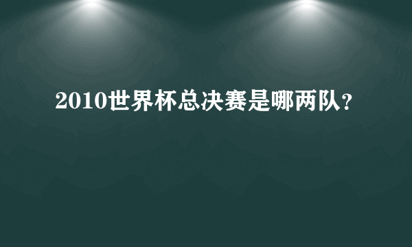 2010世界杯总决赛是哪两队？