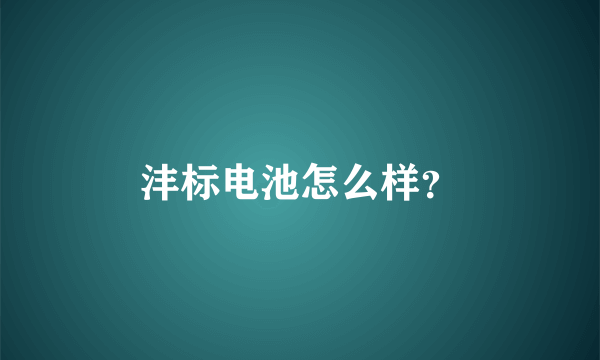 沣标电池怎么样？