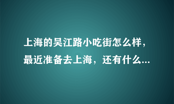 上海的吴江路小吃街怎么样，最近准备去上海，还有什么值得一去的小吃街，求推荐！！