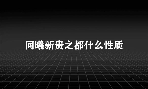 同曦新贵之都什么性质