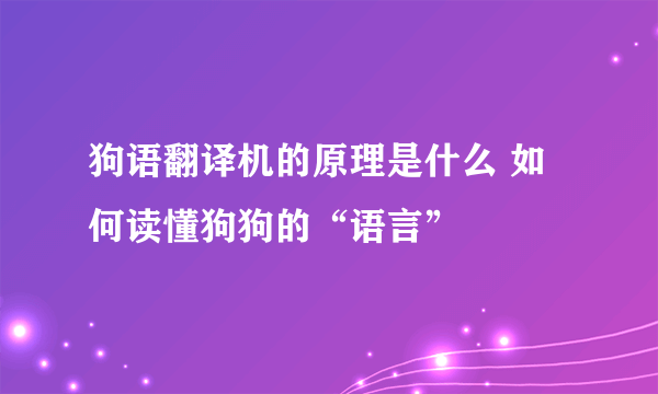 狗语翻译机的原理是什么 如何读懂狗狗的“语言”