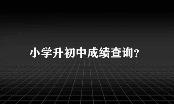 小学升初中成绩查询？