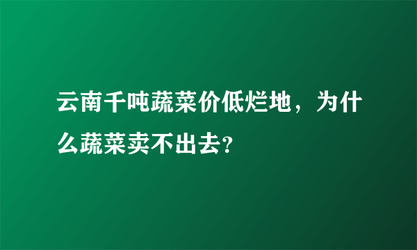 云南千吨蔬菜价低烂地，为什么蔬菜卖不出去？