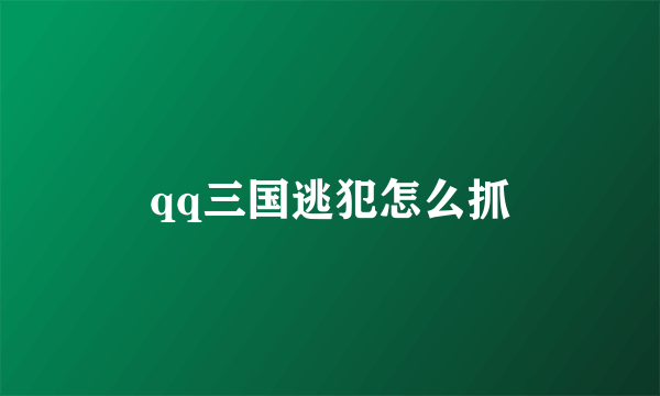 qq三国逃犯怎么抓