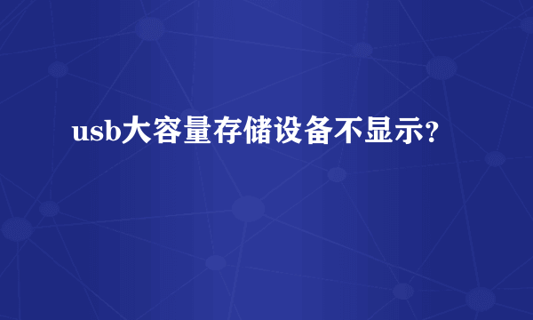 usb大容量存储设备不显示？