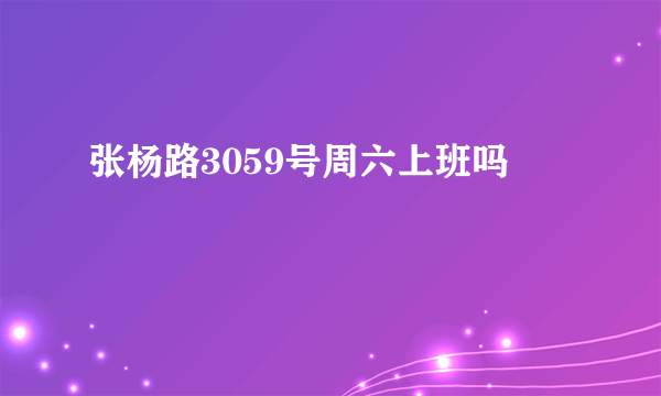 张杨路3059号周六上班吗