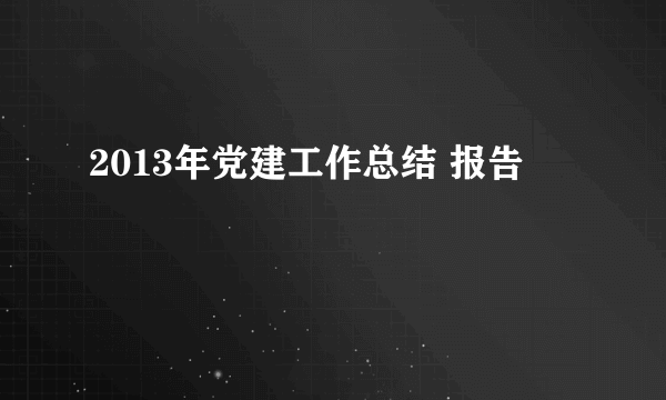 2013年党建工作总结 报告