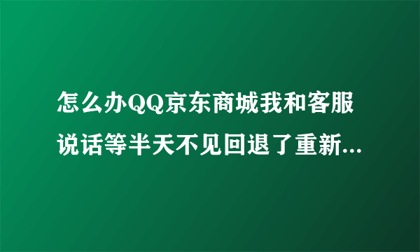 怎么办QQ京东商城我和客服说话等半天不见回退了重新打开页面发现我说的没有记录？