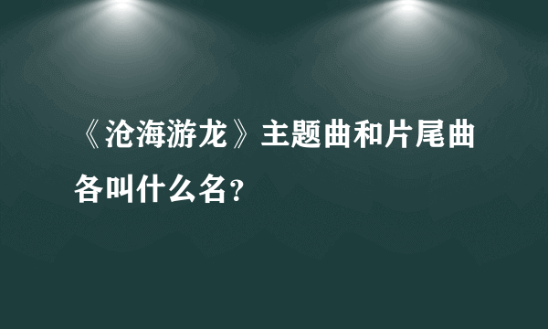 《沧海游龙》主题曲和片尾曲各叫什么名？