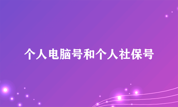 个人电脑号和个人社保号