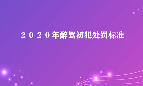 ２０２０年醉驾初犯处罚标准