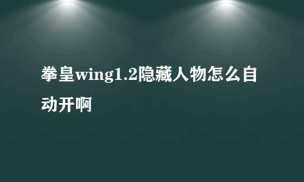 拳皇wing1.2隐藏人物怎么自动开啊