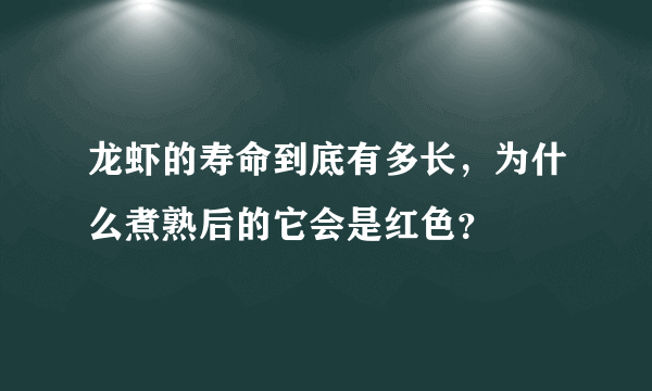 龙虾的寿命到底有多长，为什么煮熟后的它会是红色？