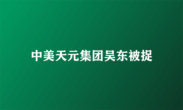 中美天元集团吴东被捉