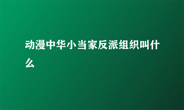 动漫中华小当家反派组织叫什么