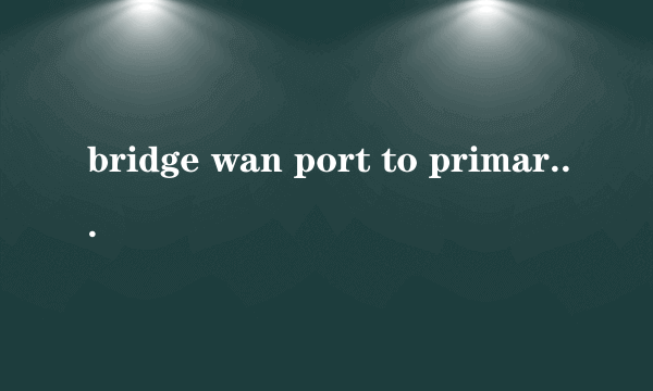 bridge wan port to primary lan 是什么意思