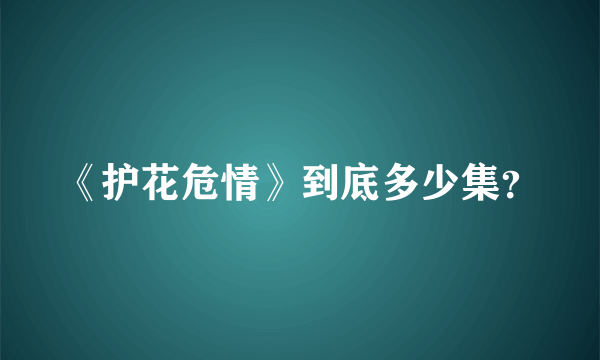 《护花危情》到底多少集？