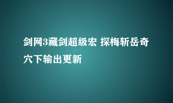 剑网3藏剑超级宏 探梅斩岳奇穴下输出更新