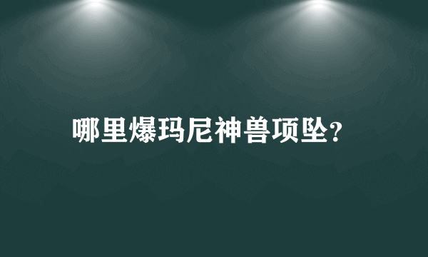 哪里爆玛尼神兽项坠？