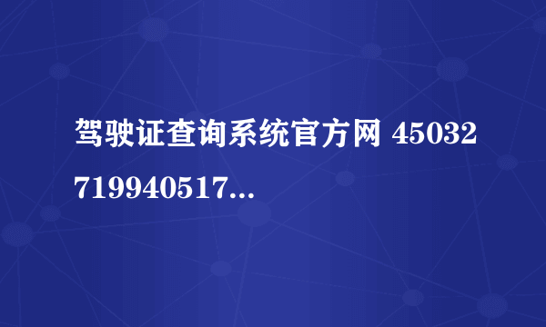 驾驶证查询系统官方网 450327199405172435档案编号：440100316588