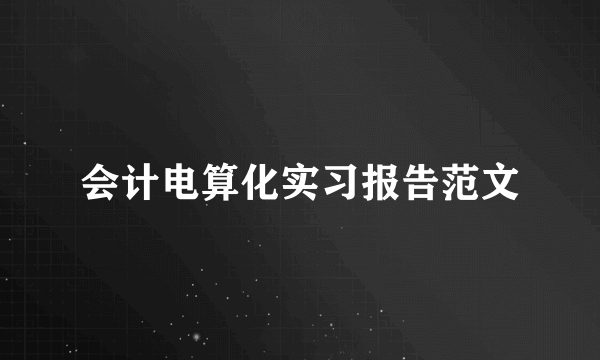 会计电算化实习报告范文