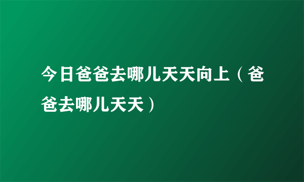 今日爸爸去哪儿天天向上（爸爸去哪儿天天）