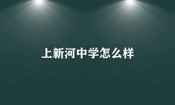 上新河中学怎么样