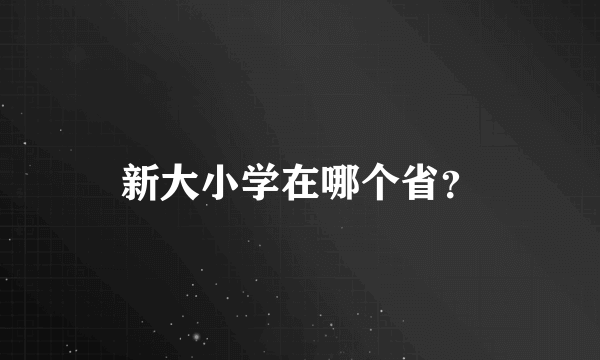 新大小学在哪个省？