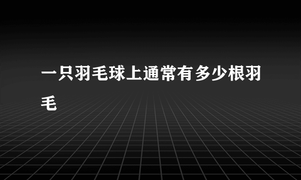 一只羽毛球上通常有多少根羽毛