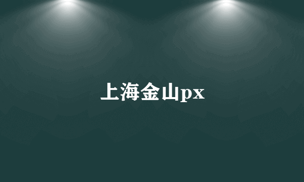 上海金山px