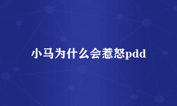 小马为什么会惹怒pdd