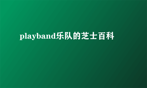 playband乐队的芝士百科