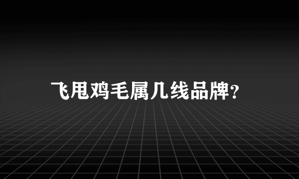 飞甩鸡毛属几线品牌？