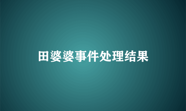 田婆婆事件处理结果