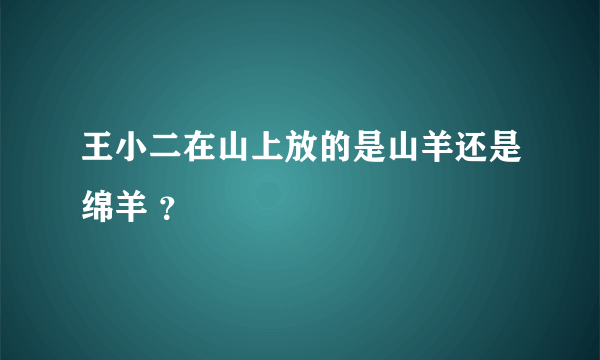 王小二在山上放的是山羊还是绵羊 ？