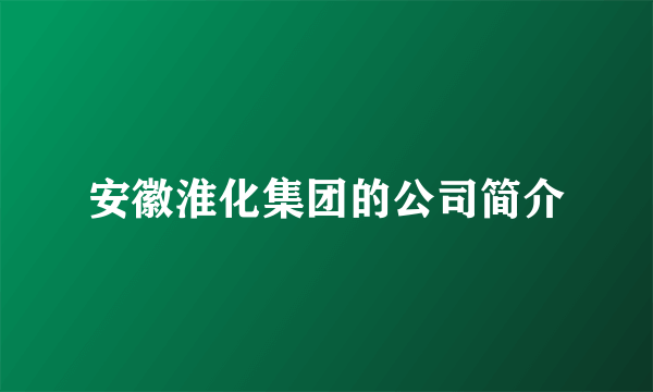 安徽淮化集团的公司简介