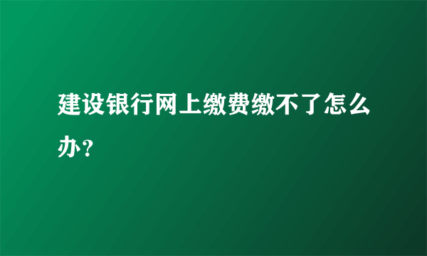 建设银行网上缴费缴不了怎么办？